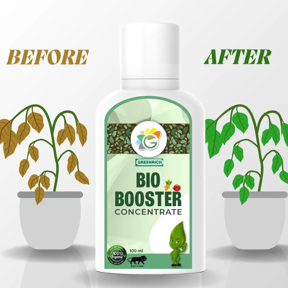 115_20250618_190409_01