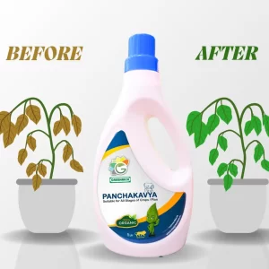 141_20250618_190410_01