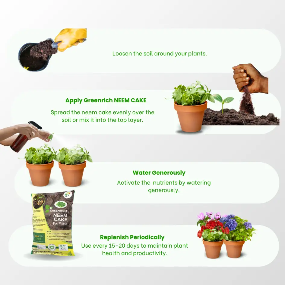 Greenrich Neem Cake,Greenrich Neem Oil