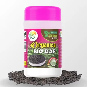 Green Rich Bio DAP Fertilizer
