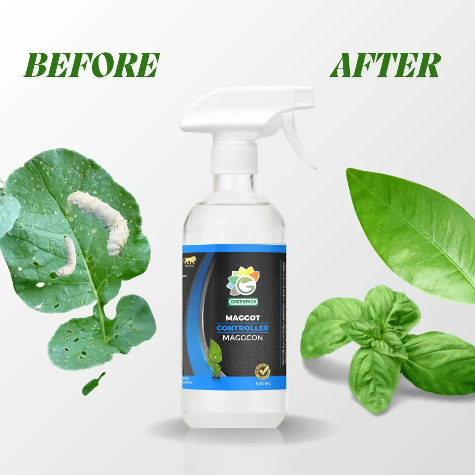 96_20250618_190409_009