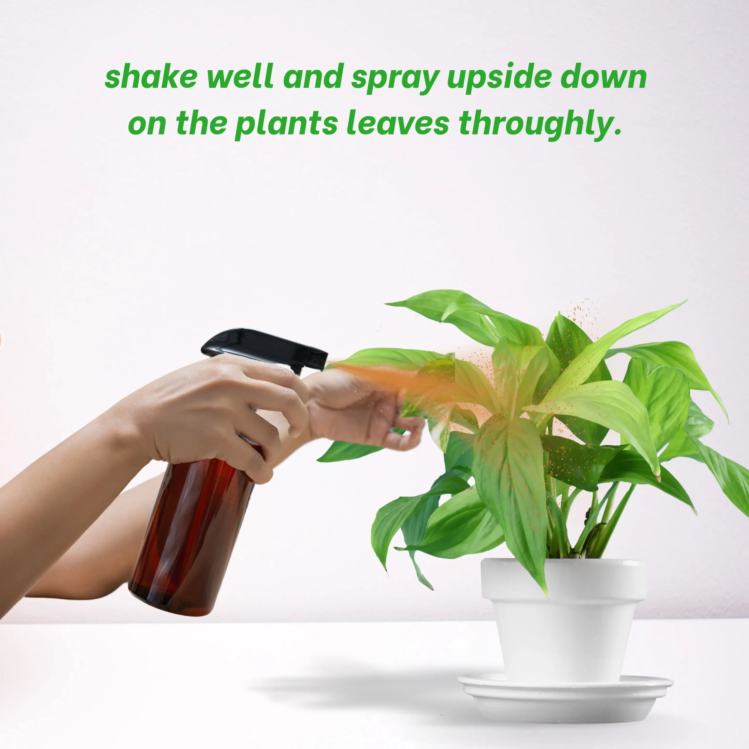 BioBooster 5L Compost Accelerator