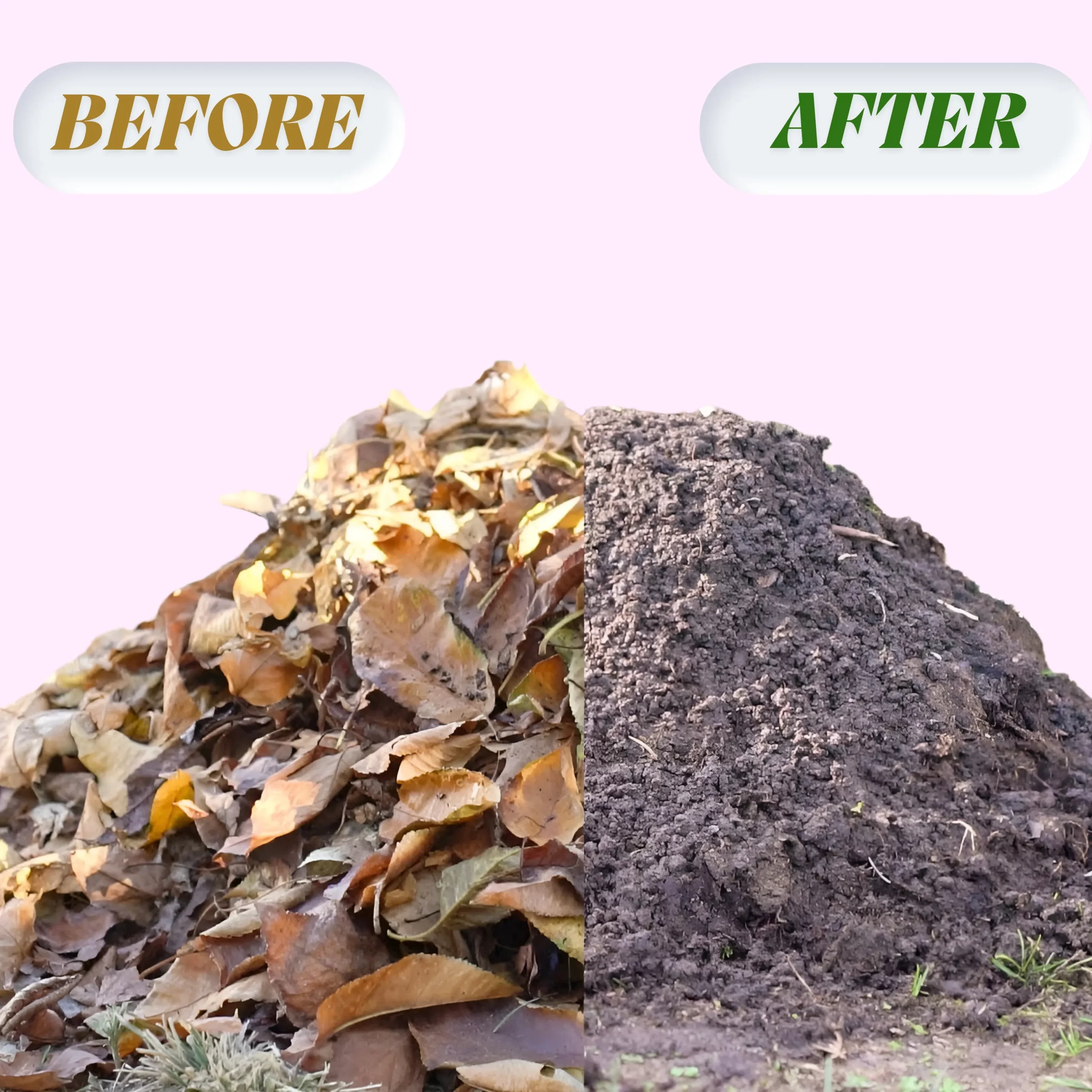 Aerobic Liquid Microbes 1 Liter